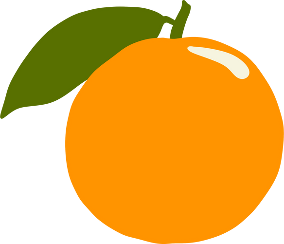 Orange Fruit Illustration